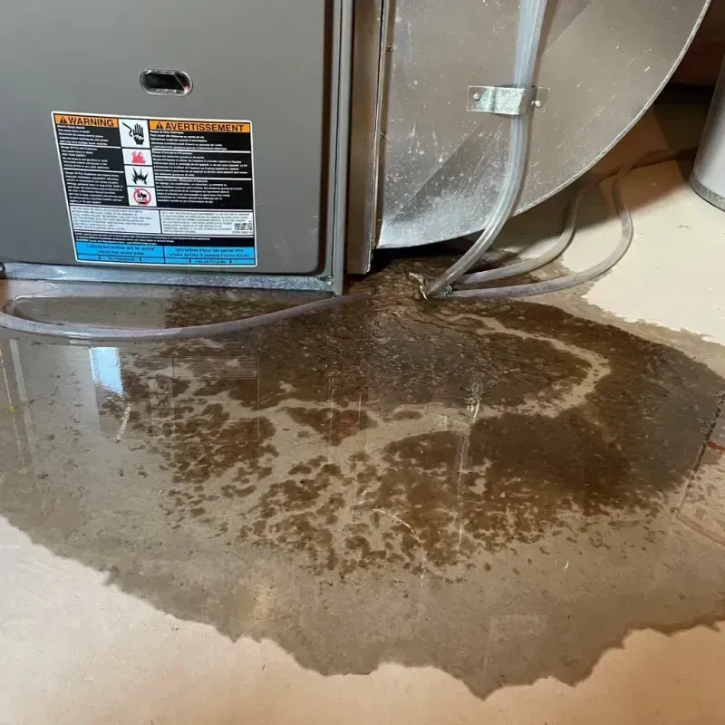 Appliance Leak Cleanup in Tipton, PA